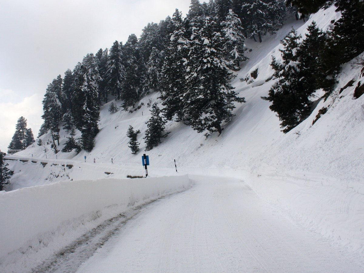 Shimla Covered Under Fresh Snow As Himachal Pradesh Receives Rainfall 