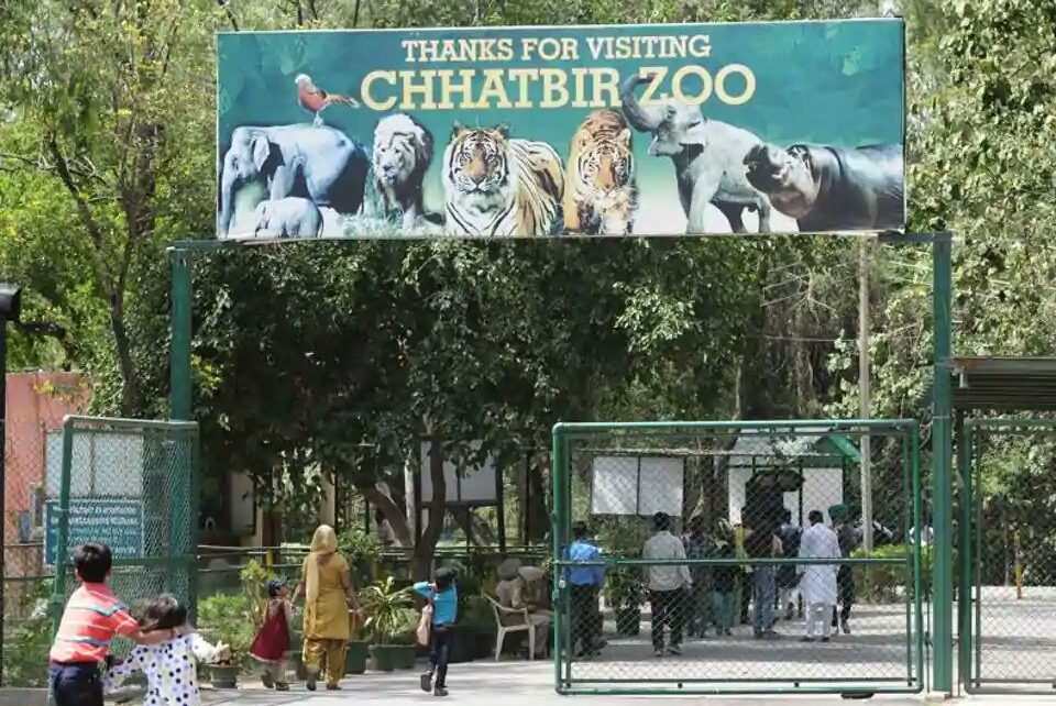 Chhatbir Zoo