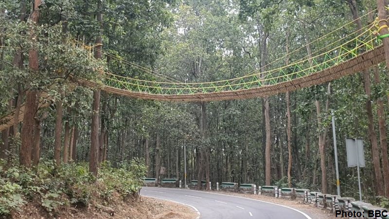 eco bridge