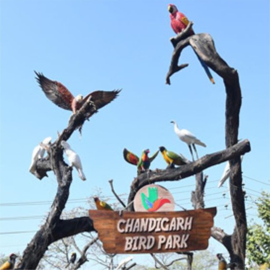 birds-park