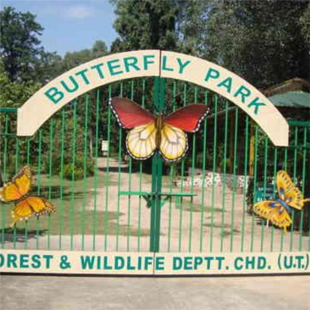 butterfly-park