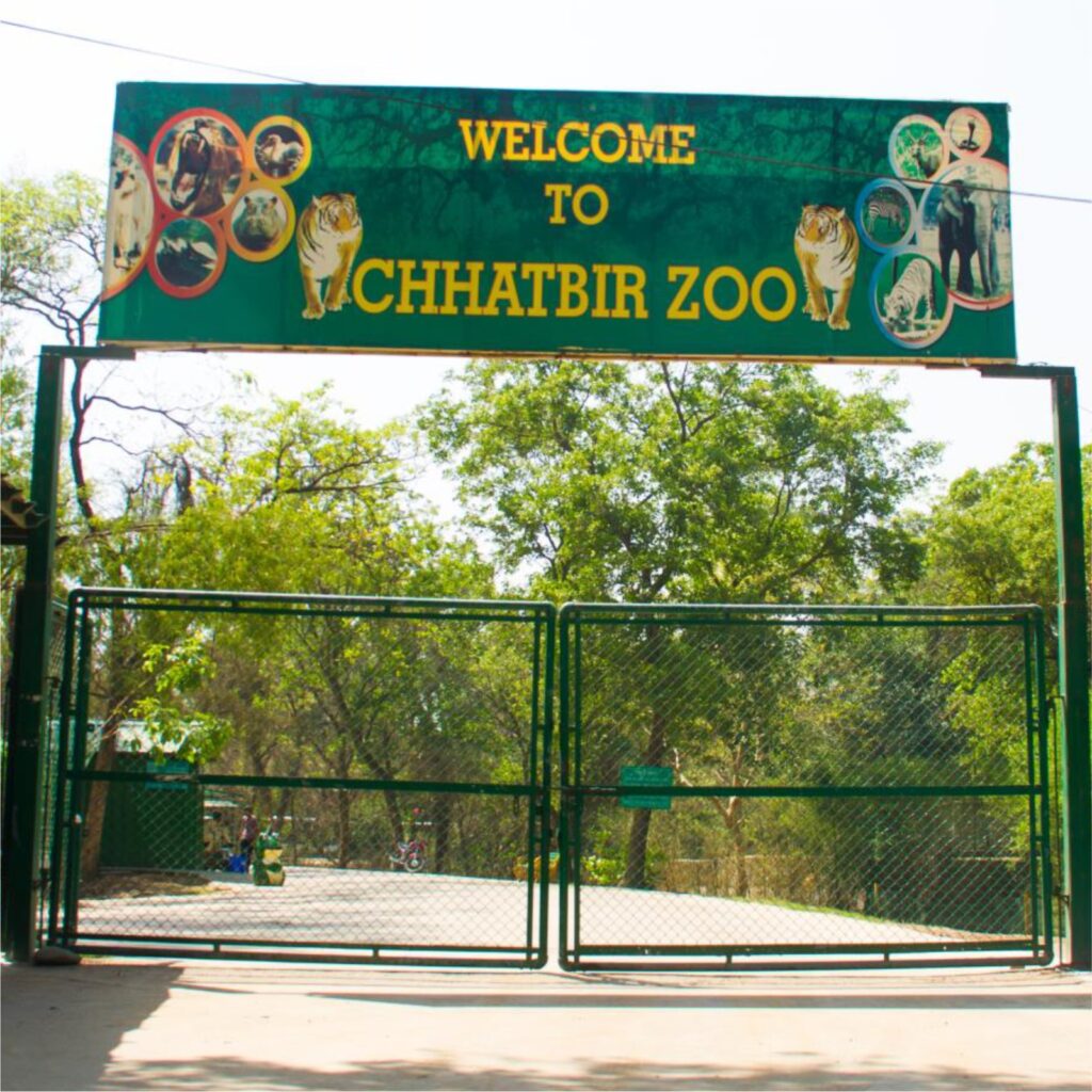 chhatbir-zoo