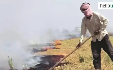 Punjab-Farmers