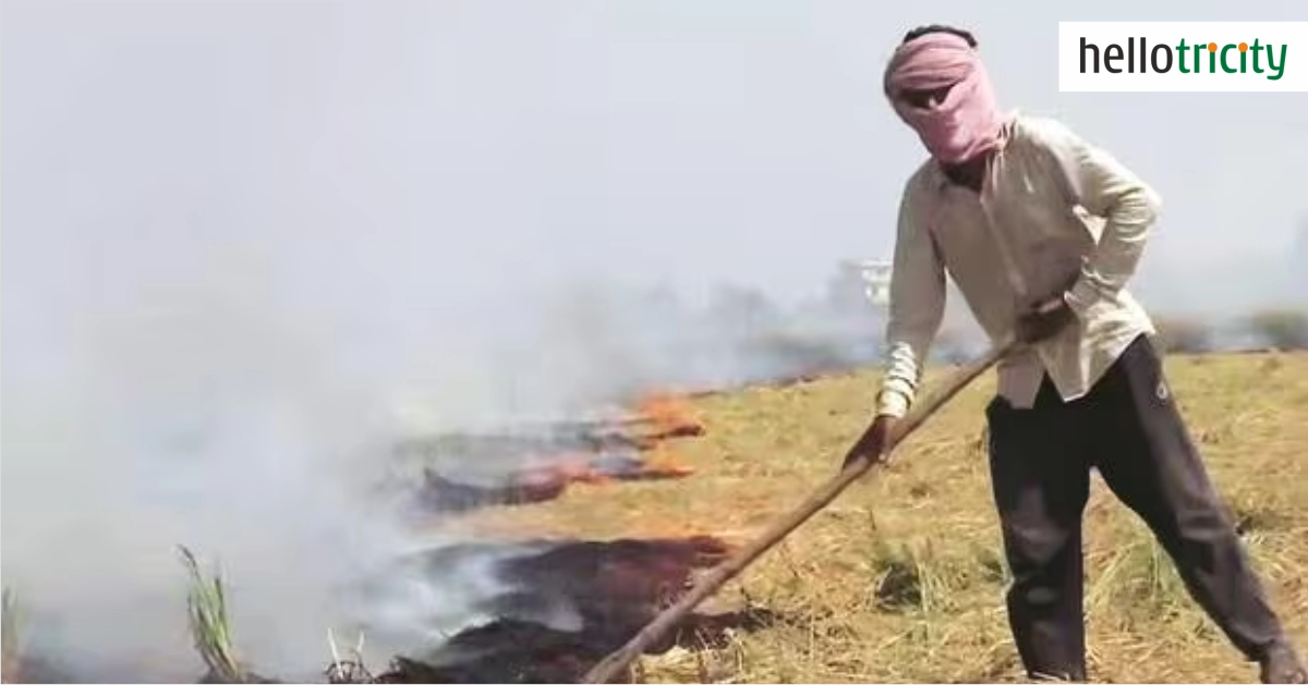 Punjab-Farmers